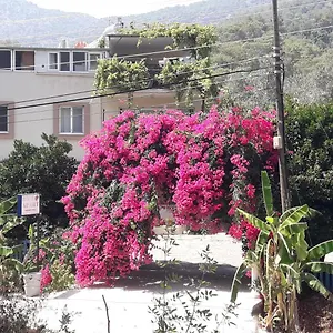 Apartment Rose Sarigerme